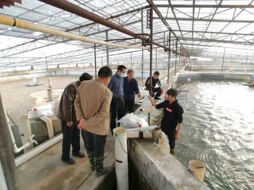 九江水產 產得出、運得走、不積壓、不賣難，力促產業平穩有序發展